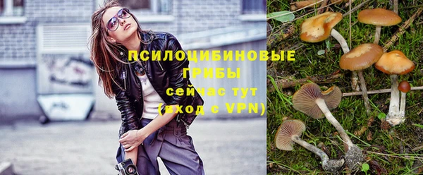 стаф Абинск