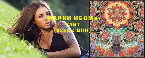 стаф Абинск