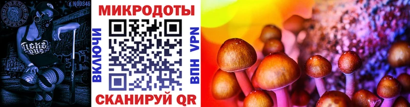 Псилоцибиновые грибы Psilocybine cubensis  Торопец 